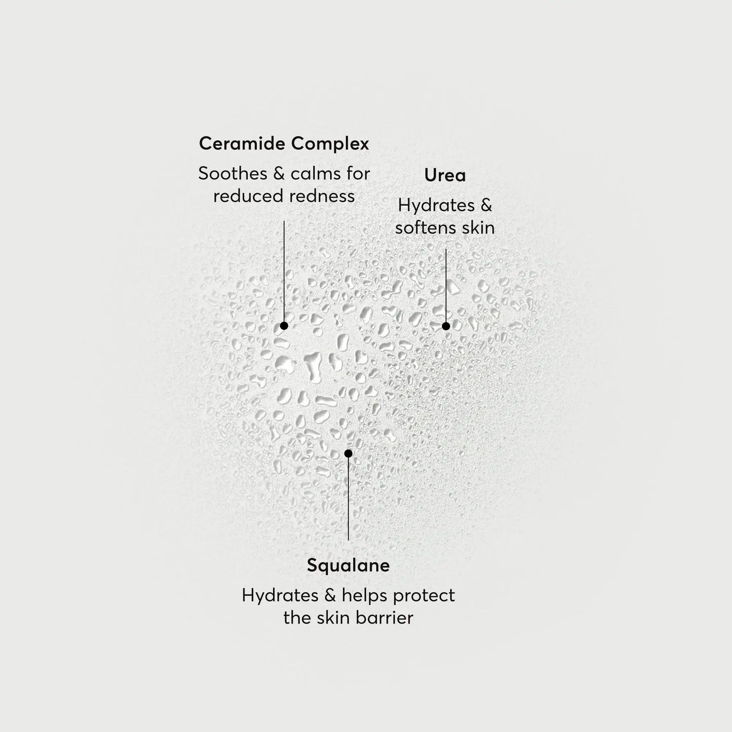 barrier-bounce-bi-phase-mist-y2 NATR-10167-Alt-Images-Barrier-Bounce-Bi-Phase-Toner-Mist_01.webp