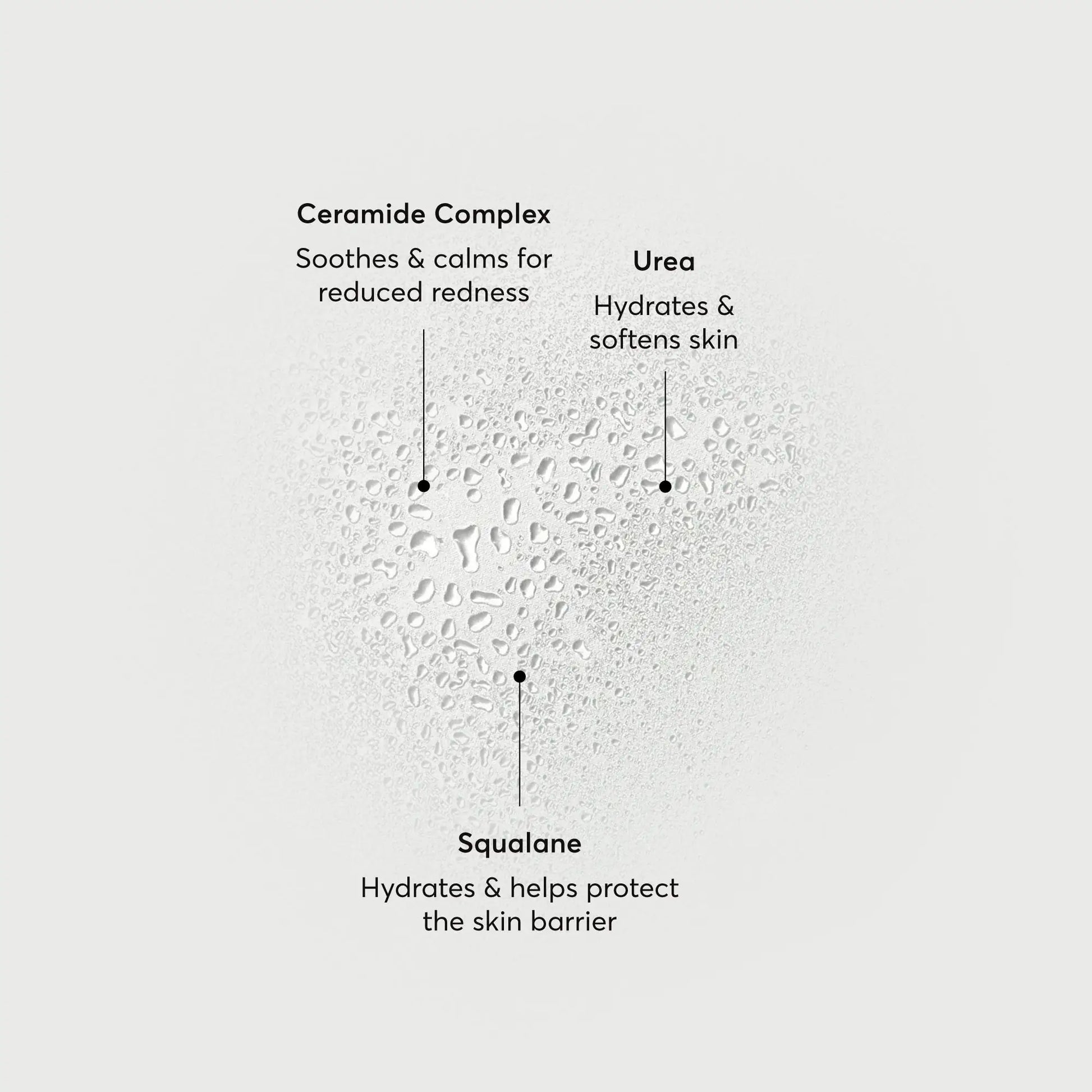 barrier-bounce-bi-phase-mist-y2 NATR-10167-Alt-Images-Barrier-Bounce-Bi-Phase-Toner-Mist_01.webp