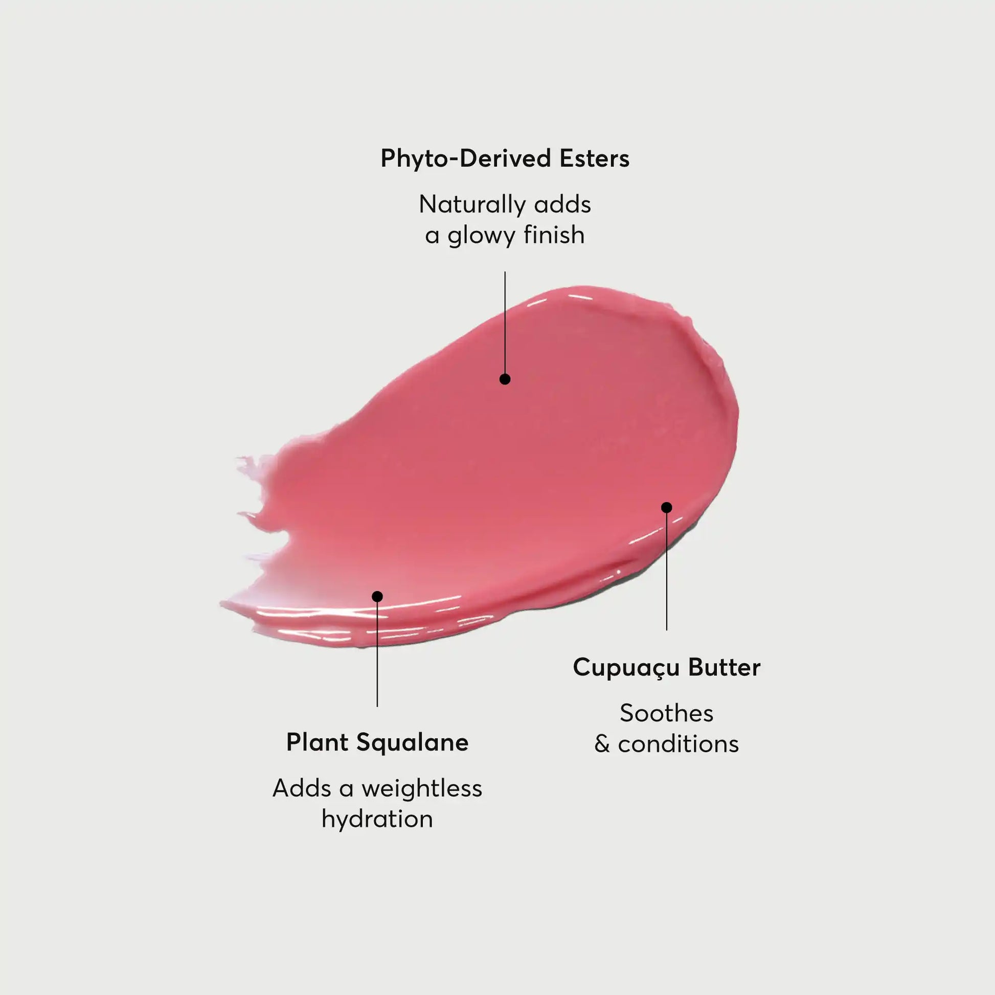 phyto-glow-lip-balm-petal-p5 NATR-60067-Alt-Images-Phyto-Glow-Lip-Balm-Petal-01.webp