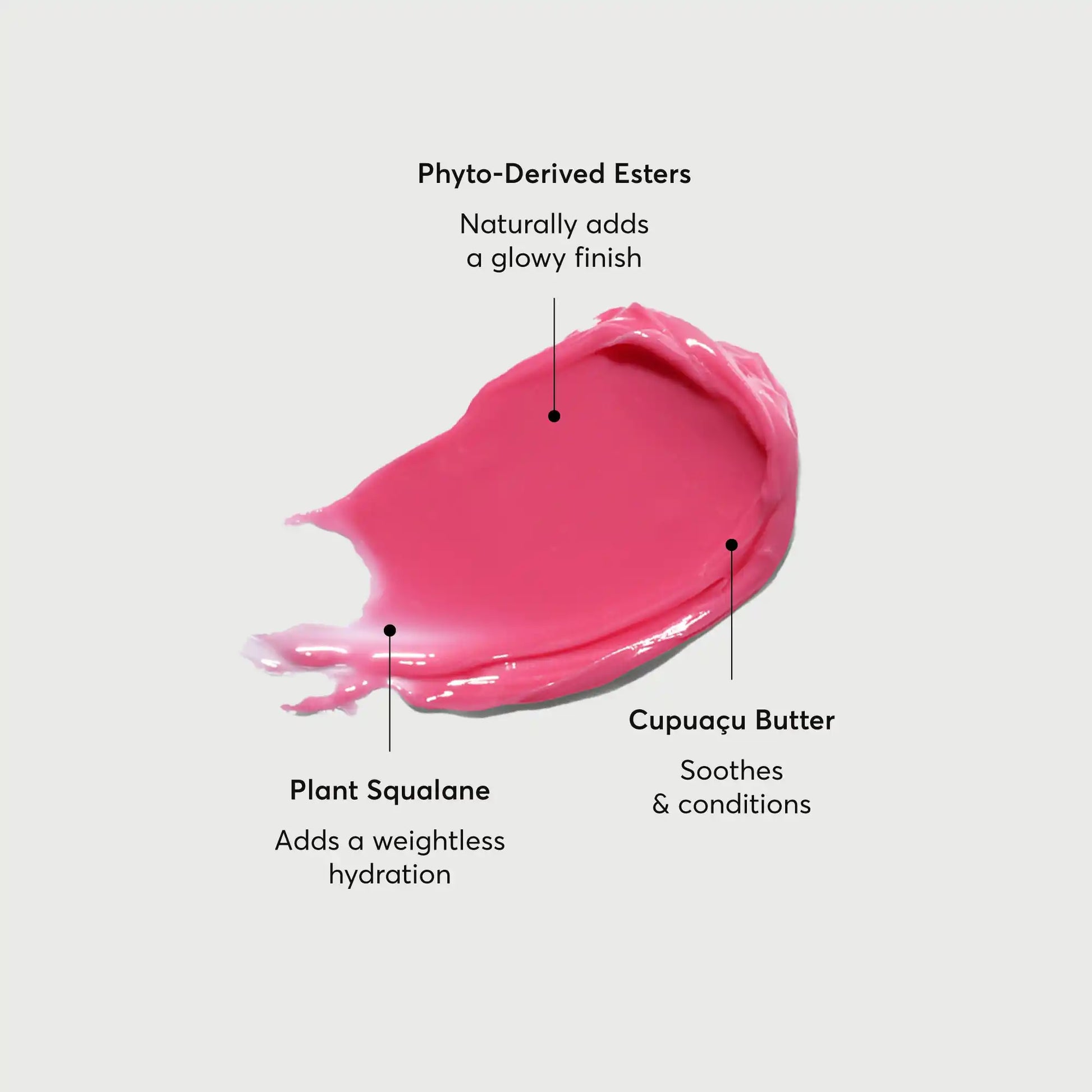 phyto-glow-lip-balm-camellia-k2 NATR-60075-Alt-Images-Phyto-Glow-Lip-Balm-Camellia-01.webp